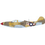 Bell P-39K/L Airacobra WeekEnd Edition - 1/48 - EDUARD 8463