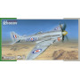 Tempest Mk.VI - 1/32 - SPECIAL HOBBY 100-SH32055