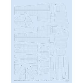 Rivets en relief et détails de surface pour P-38F/G/H TAMIYA - 1/48 - EDUARD ER48004