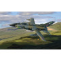 Panavia Tornado GR.1, ZD748/AK, Johnnie Walker 1/48 - CORGI AA29401