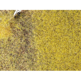 Flocage fibres PREMIUM jaune paille 6mm toutes échelles - Faller 170776