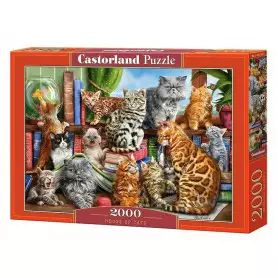 House of Cats - Puzzle 2000 pièces - CASTORLAND