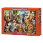 House of Cats - Puzzle 2000 pièces - CASTORLAND