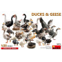 Canards et Oies - 1/35 - MINIART 38114