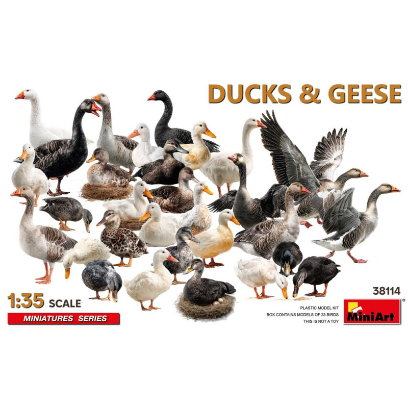 Canards et Oies - 1/35 - MINIART 38114