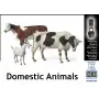 Animaux domestiques - 1/35 - MASTER BOX 3566