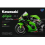 Kawasaki Ninja ZX-10R KRT (Édition pré-peinte) - 1/9 - MENG MT-007t