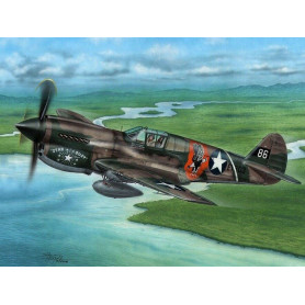 P-40E Warhawk Claws and Teeth - échelle 1/72 - SPECIAL HOBBY 72338