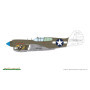 P-40K short tail - 1/48 - EDUARD 82243