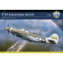P-39 Airacobra RECON - 1/48 - ARMA HOBBY 40013