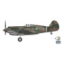 Curtiss Hawk 81-A2 - 1/72 - ARMA HOBBY 70094