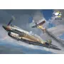 Curtiss Hawk 81-A2 - 1/72 - ARMA HOBBY 70094