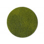 HEKI 3364 - flocage fibres vert moyen 2-3 mm 50 grammes toutes échelles