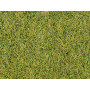 HEKI 3368 - flocage fibres sol forestier 5-6 mm 75 grammes toutes échelles