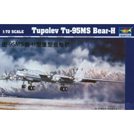 Expérience Tu-95 MS Bear-H - 1/72 - TRUMPETER 01601
