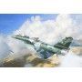 Le chasseur multirôle J-10CE de la PAF et le Rafale - 1/72 - TRUMPETER 01690
