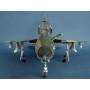 République F-105 G Belette sauvage - 1/32 - TRUMPETER 02202