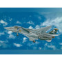 F-14A Tomcat - échelle 1/48 - ITALERI 2667