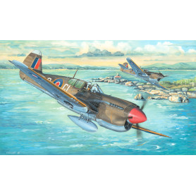 P-40M War Hawk - 1/32 - TRUMPETER 02211