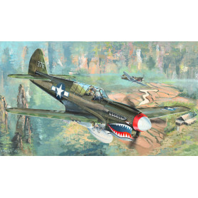 P-40N War Hawk - 1/32 - TRUMPETER 02212