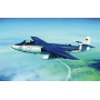 Seahawk MK.100/101 - 1/48 - TRUMPETER 02827