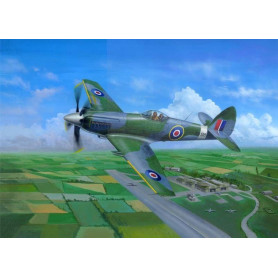 Chasseur Supermarine Spiteful F.MK.14 - 1/48 - TRUMPETER 02850