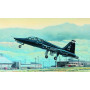 T-38A Talon américain - 1/48 - TRUMPETER 02852