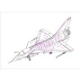 PLA J-10AY Dragon vigoureux-Ba Yi Aerb.T. - 1/48 - TRUMPETER 02857