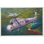 HH-34J USAF Combat Rescue - Réédition - 1/48 - TRUMPETER 02884