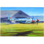 DE Havilland Hornet F.1 - 1/48 - TRUMPETER 02893