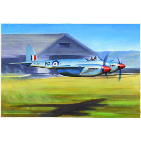 DE Havilland Hornet F.1 - 1/48 - TRUMPETER 02893