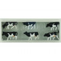 6 vaches noires et blanches - N 1/160 - PREISER 79228