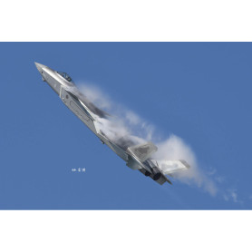 Chengdu J-20 « Mighty Dragon » J-20 chinois - 1/48 - TRUMPETER 05811