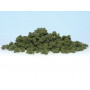 Buissons olive green toutes échelles - Bushes Woodland Scenics FC1644