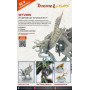 Dungeons & Lasers Dragons : Wyvern - ARCHON STUDIO DNL0070