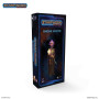 Figurine Gnome Mystique - ARCHON STUDIO PSF0045