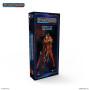 Chevalier de Golarion - ARCHON STUDIO PSF0056
