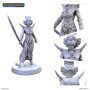 Chaman MARAQUOI - ARCHON STUDIO PSF0062