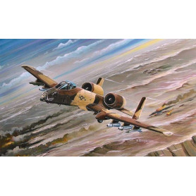 A-10A Thunderbolt II - 1/72 - HOBBY BOSS 80266
