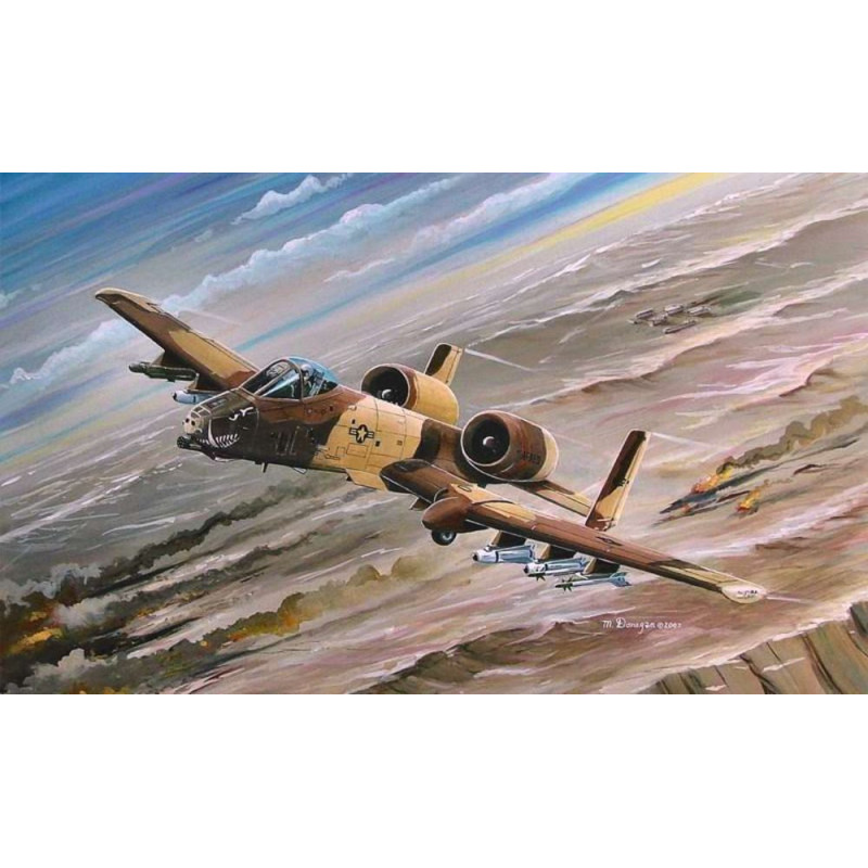 A-10A Thunderbolt II - 1/72 - HOBBY BOSS 80266