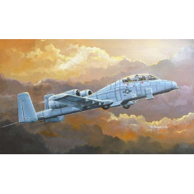 N/AW A-10A THUNDERBOLT II - 1/72 - HOBBY BOSS 80267
