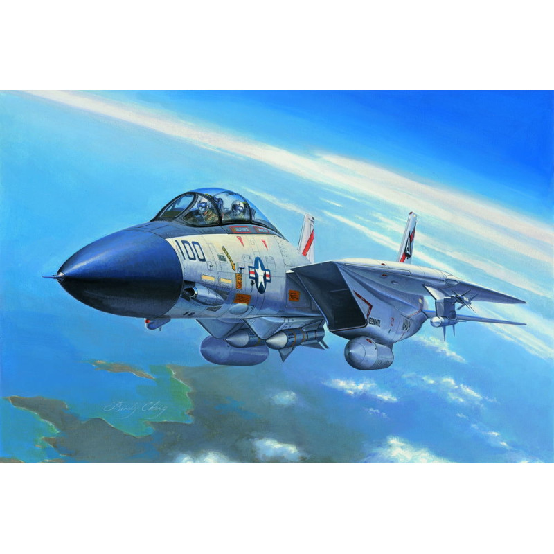 F-14A Tomcat - 1/72 - HOBBY BOSS 80276