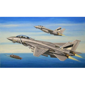 F-14D Super Tomcat - 1/72 - HOBBY BOSS 80278