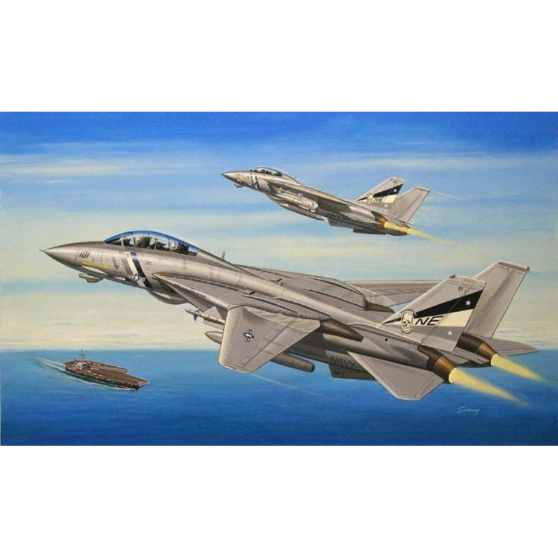 F-14D Super Tomcat - 1/72 - HOBBY BOSS 80278