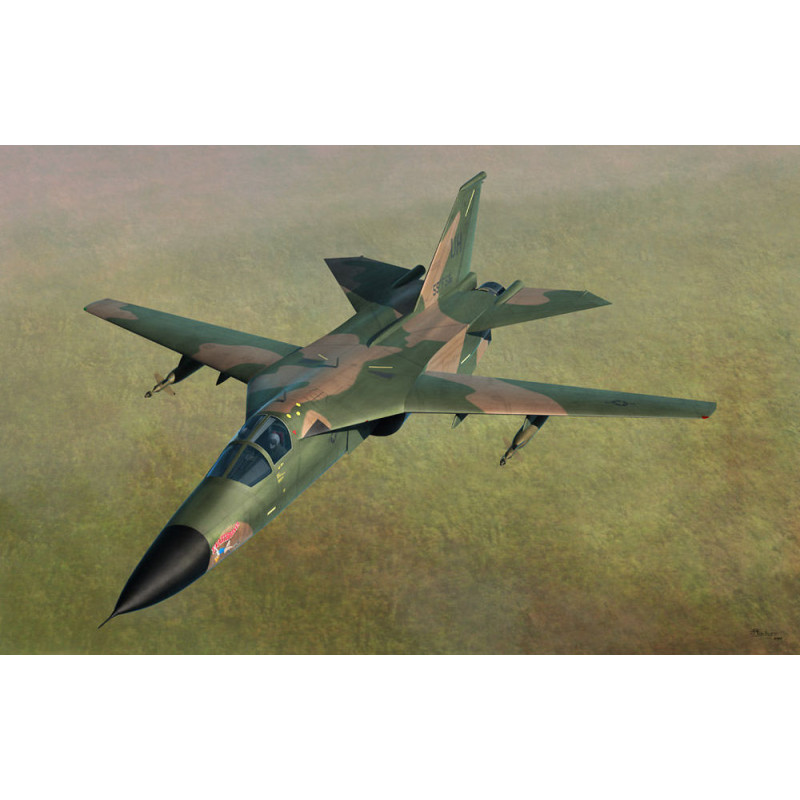 F-111D/E Aardvark - 1/48 - HOBBY BOSS 80350