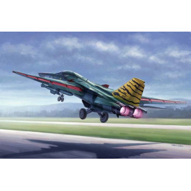 FB-111 Oryctérope - 1/48 - HOBBY BOSS 80351