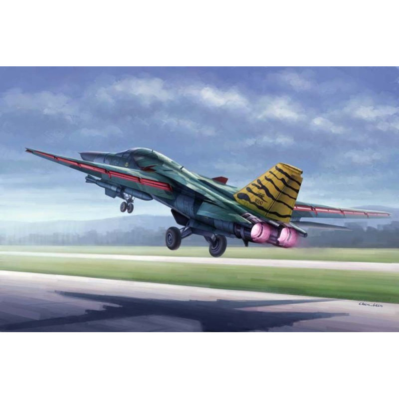 FB-111 Oryctérope - 1/48 - HOBBY BOSS 80351