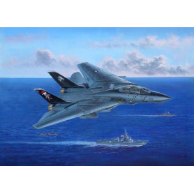 F-14B Tomcat - 1/48 - HOBBY BOSS 80367