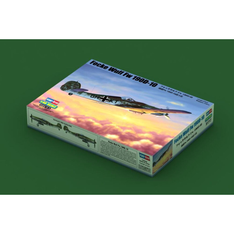 Focke-Wulf FW190D-10 - 1/48 - HOBBY BOSS 81717
