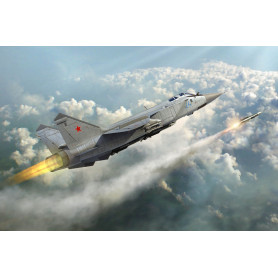 MiG-31 Foxhound russe - 1/48 - HOBBY BOSS 81753